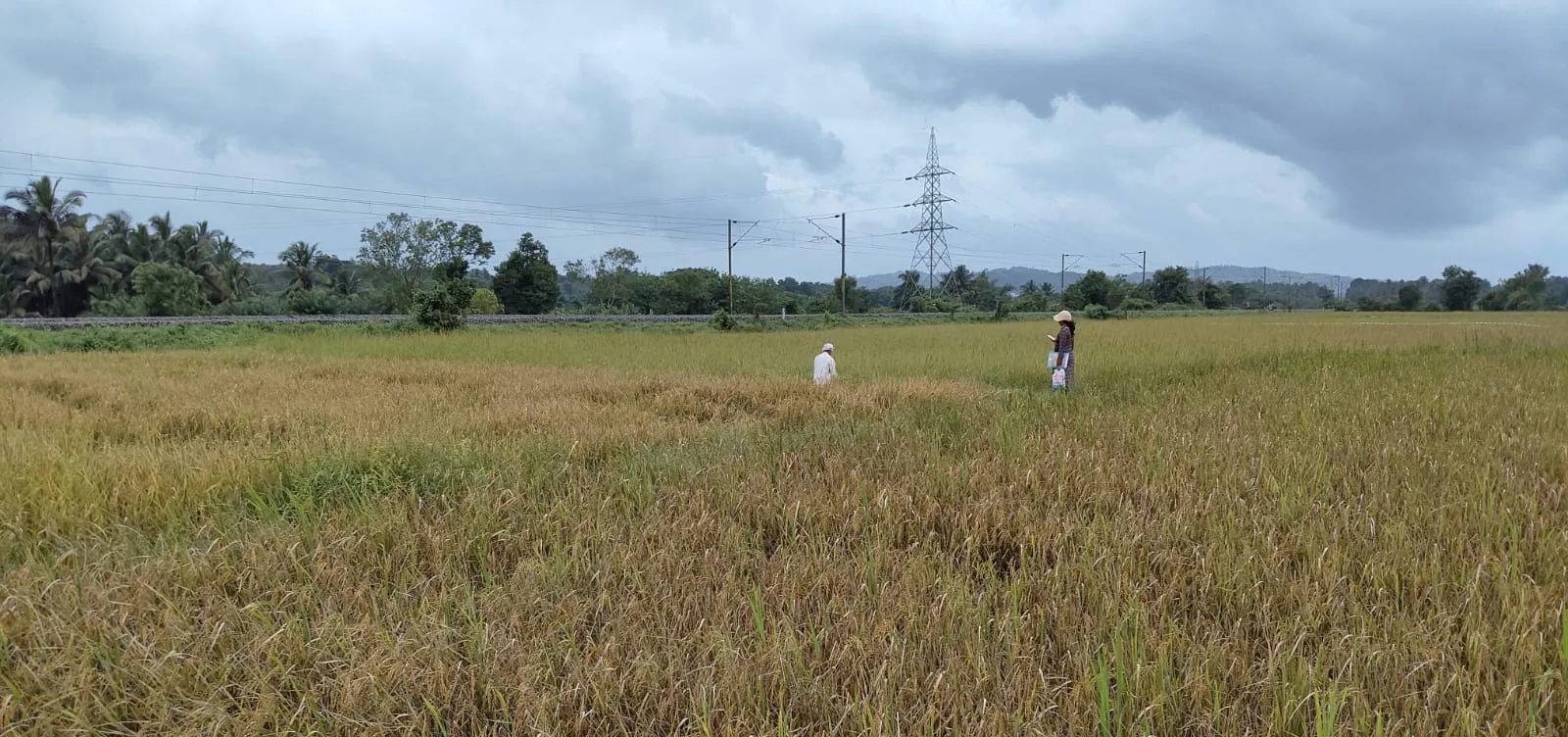 Keerthi Farms, Ottapalam